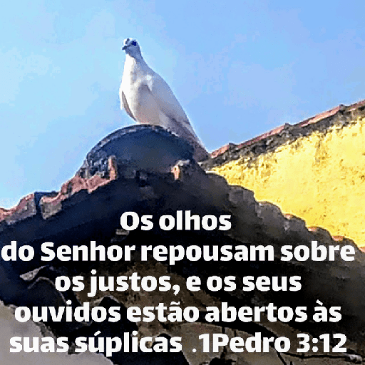 Versículos biblicos 17