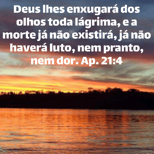 Versículos biblicos 14
