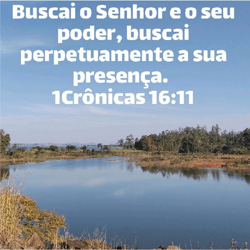 Versículos biblicos 15