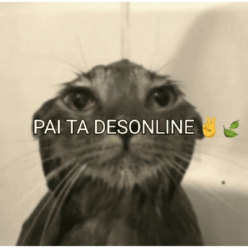 Boa noite 26