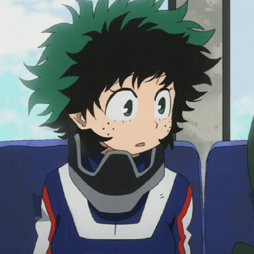 Izumi midoriya  19