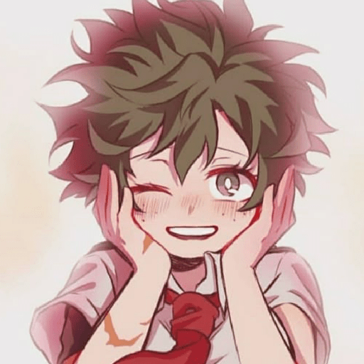 Izumi midoriya  14