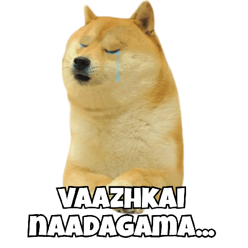 Наліпка 19
