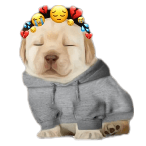 Cheems