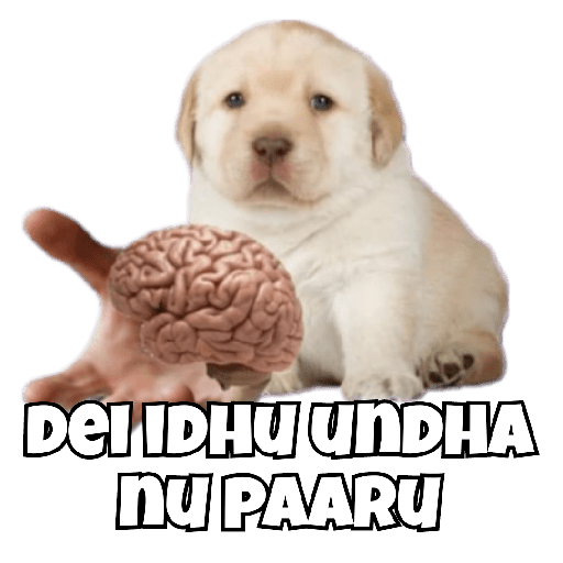 Наліпка 29