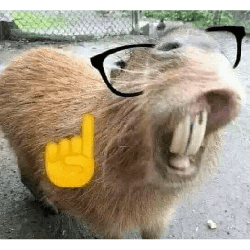 Jkcomecudetodos 8
