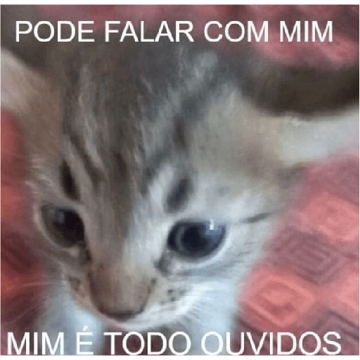 Jkcomecudetodos 13