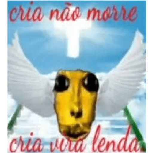 Jkcomecudetodos 16