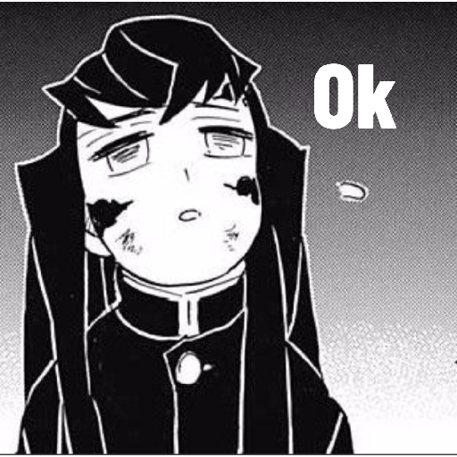 Demon slayer 13