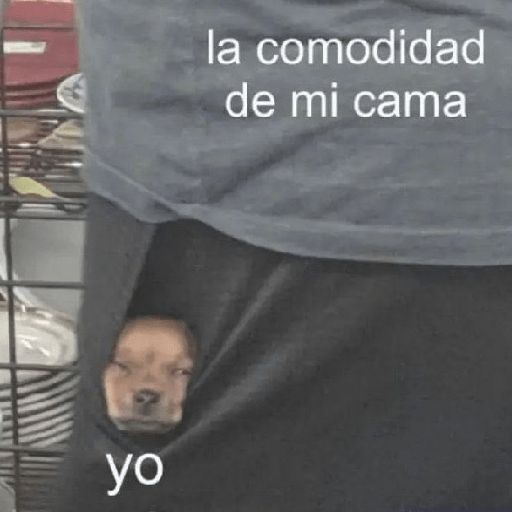 Lomitos 🐶💙 Tw: @Myr_Marte