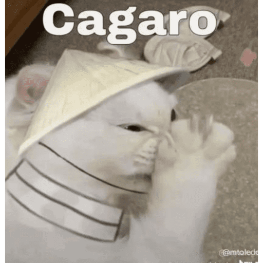 Gab 28
