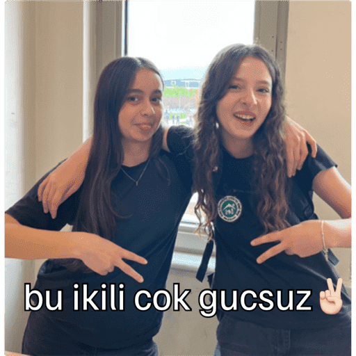 Sticker Image