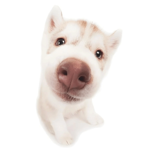 1709567362466.png