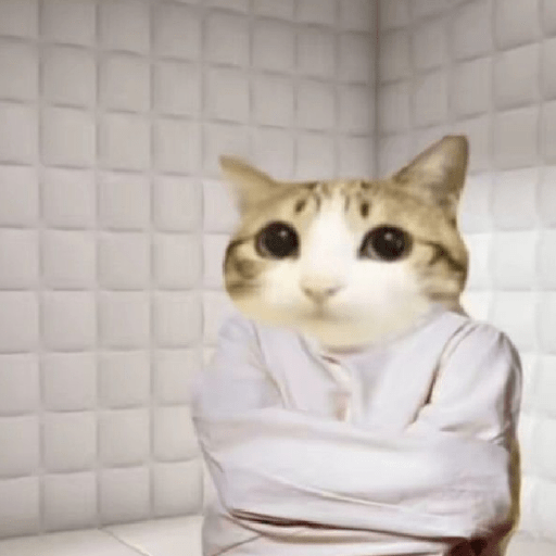 Gato sin texto 🐱 Gatos 🐈‍⬛ 26