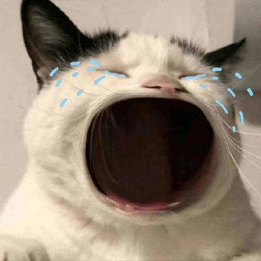 Gato sin texto 🐱 Gatos 🐈‍⬛ 25