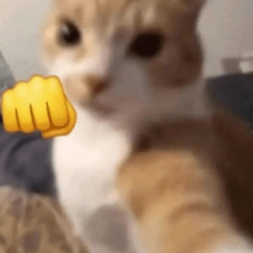 Gato sin texto 🐱 Gatos 🐈‍⬛ 5
