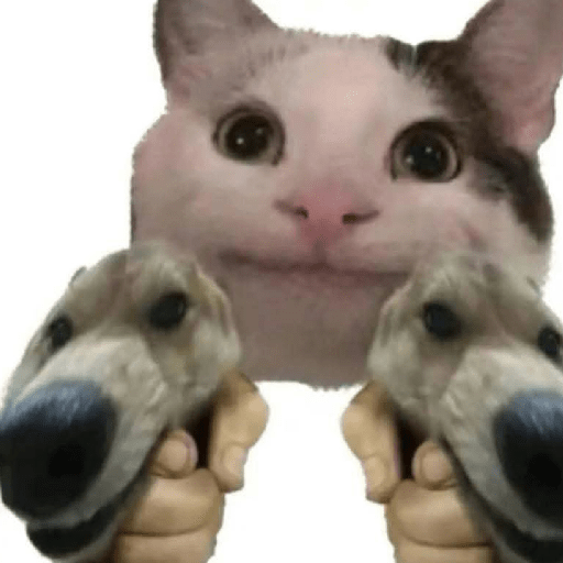 Gato sin texto 🐱 Gatos 🐈‍⬛ 2