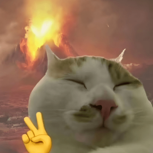 Gato sin texto 🐱 Gatos 🐈‍⬛ 28