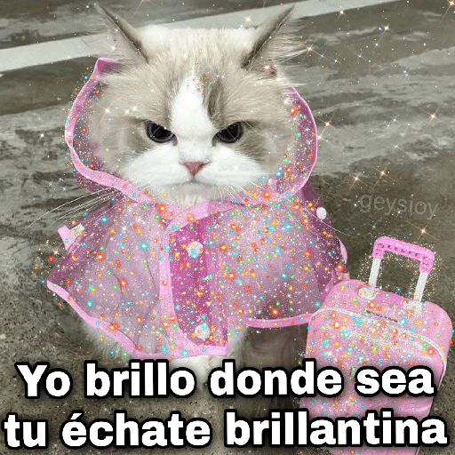 ✨🪄 Brillitos meme✨Tiktok🔥💖 16