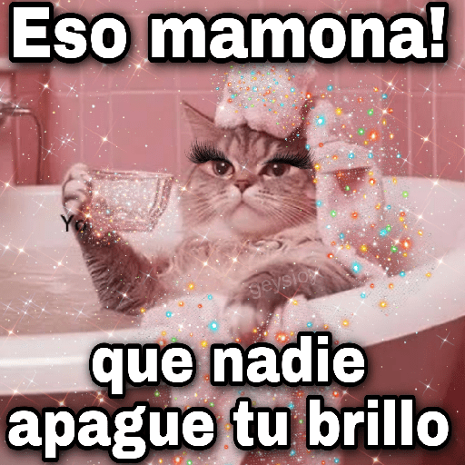 ✨🪄 Brillitos meme✨Tiktok🔥💖 5