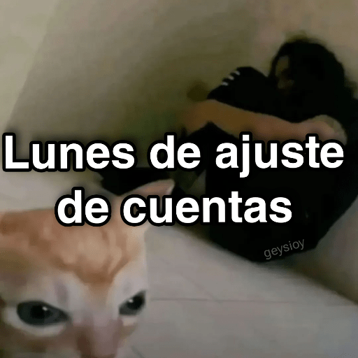 Lunes 🌤️Memes con estilo🔥