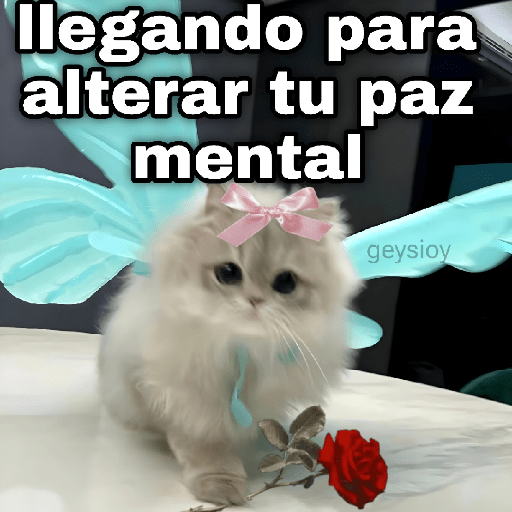 Gatos con amor 5 😻🪄💖
