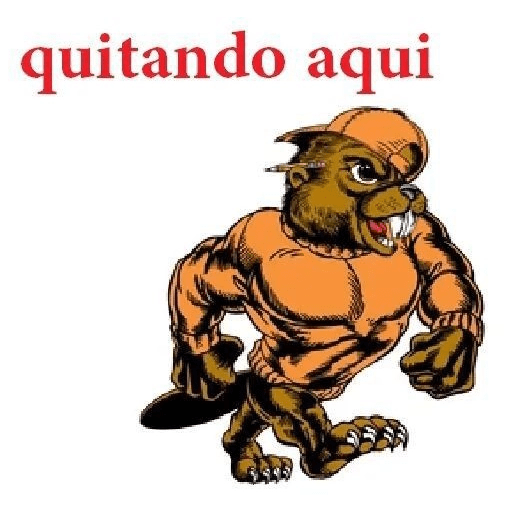 QUE GAY CHATO  17