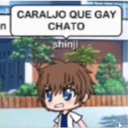 QUE GAY CHATO  29