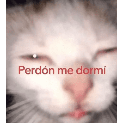 Mis pegatinas 8