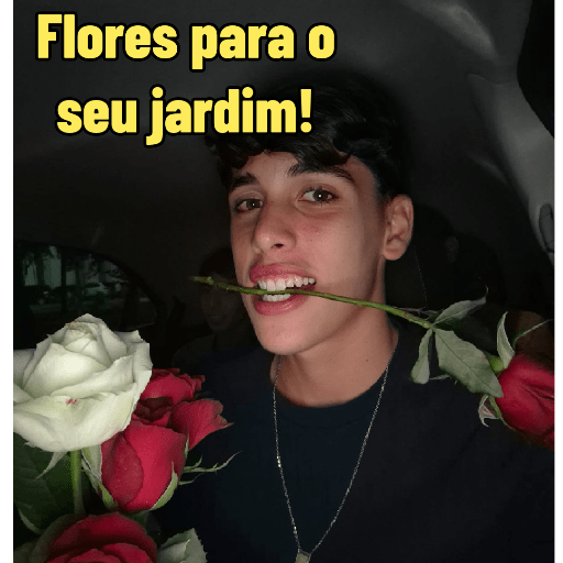 Minhas figurinhas