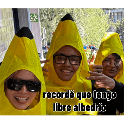 MEM 3