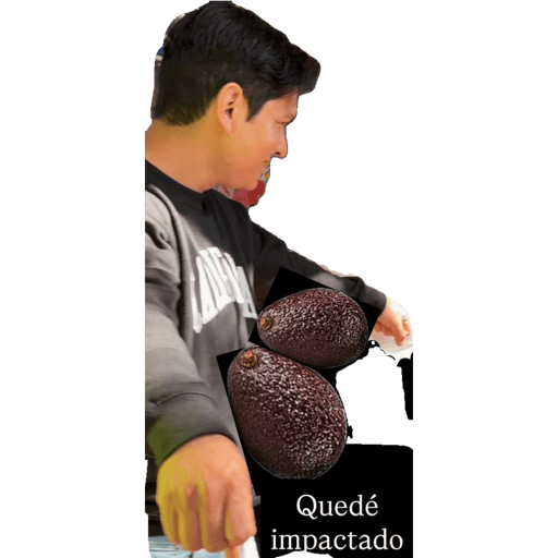 MEM 29