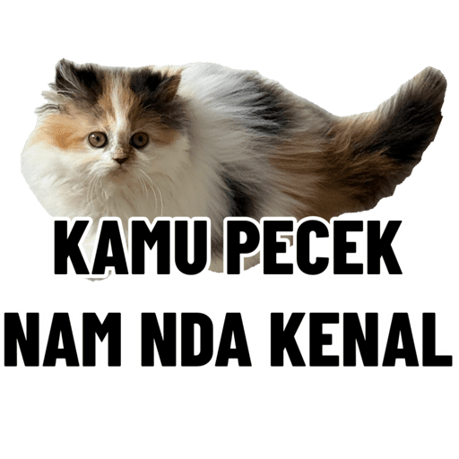 Stiker Saya 4