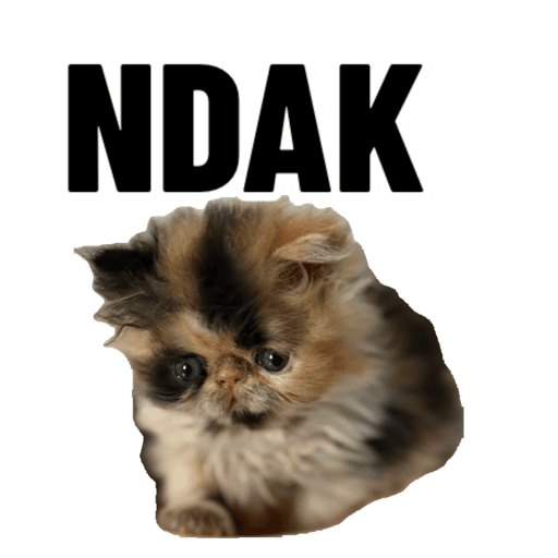 Stiker Saya 8