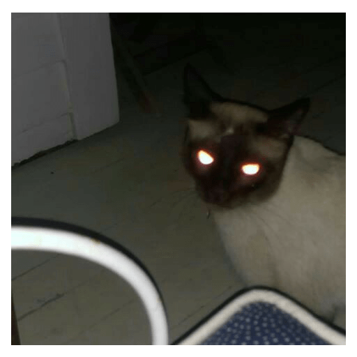 Momos 6