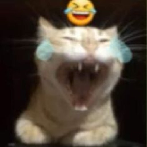 Momos 13
