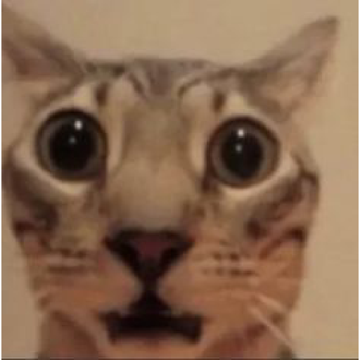 Momos 14