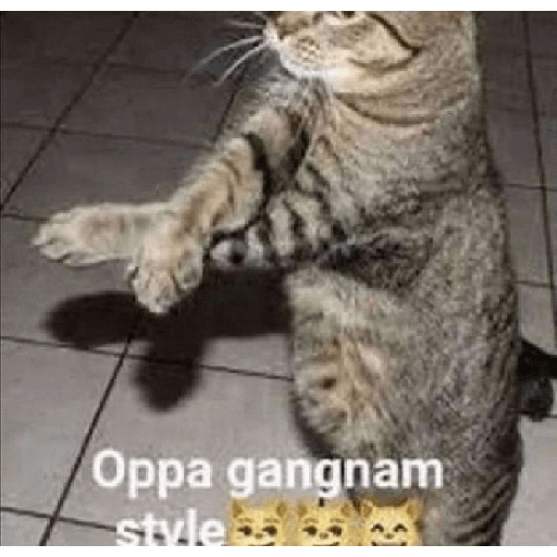 Momos 15