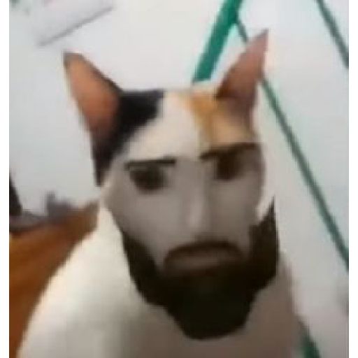 Momos 18