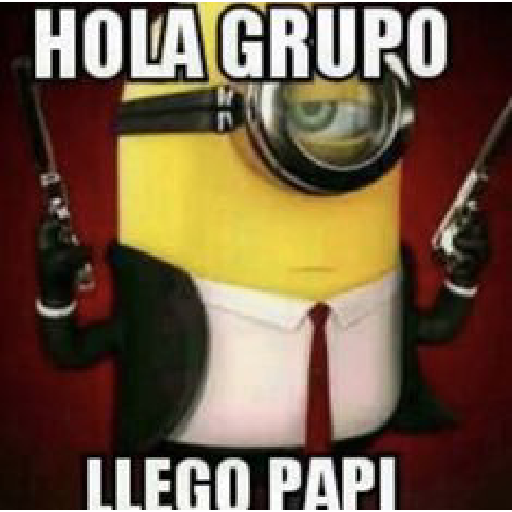 Momos 20