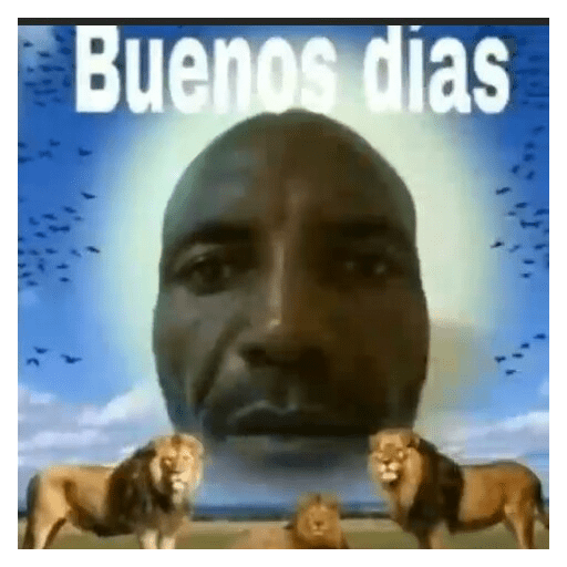 Momos 8