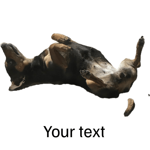 Sticker Image