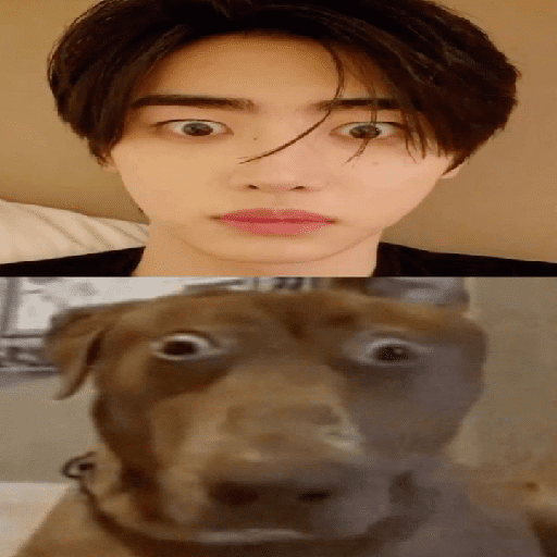 Sunghoon - memes / Enhypen 4