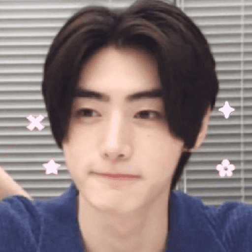 Sunghoon - memes / Enhypen 3