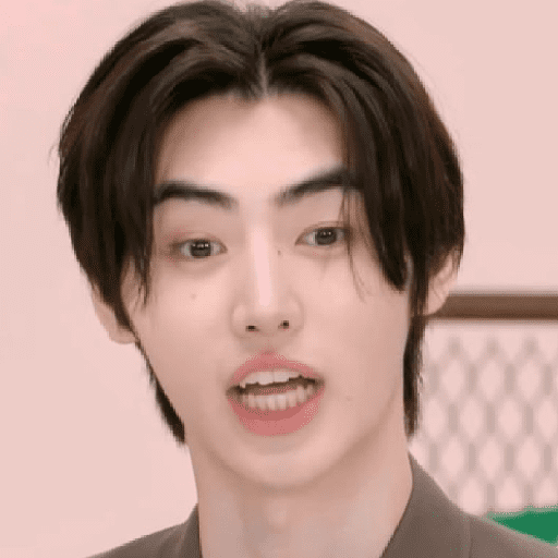 Sunghoon - memes / Enhypen 10