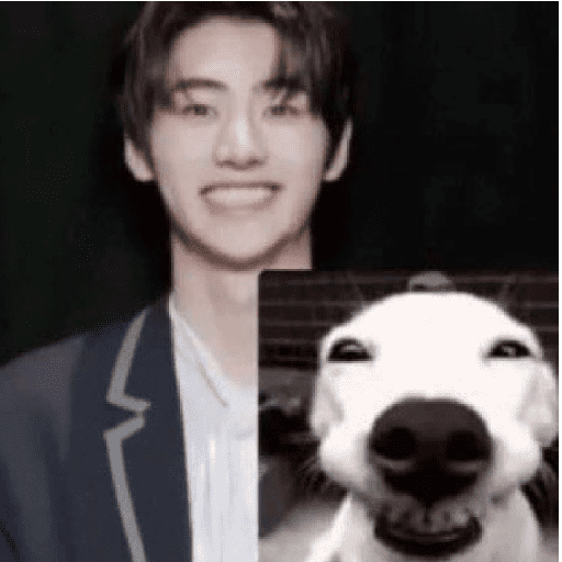 Sunghoon - memes / Enhypen 13