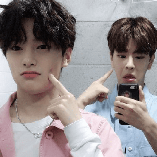 Seungin/Skz (icons)  9