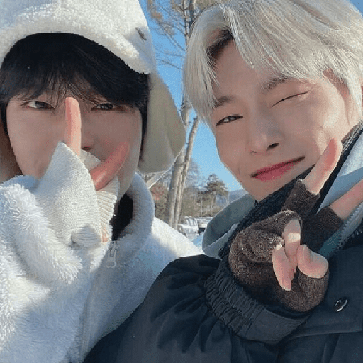 Seungin/Skz (icons)  8
