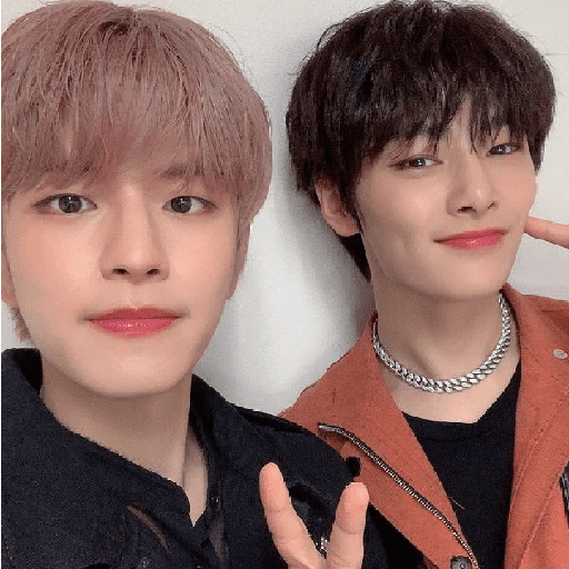 Seungin/Skz (icons)  6