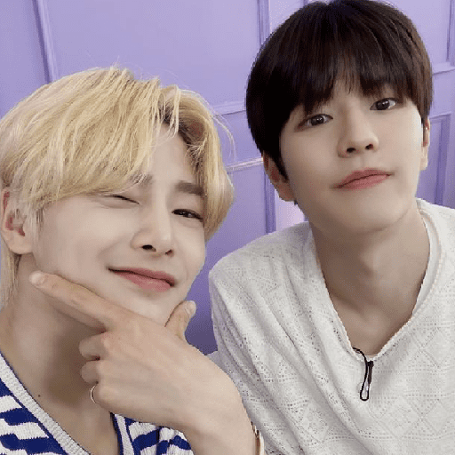 Seungin/Skz (icons)  4